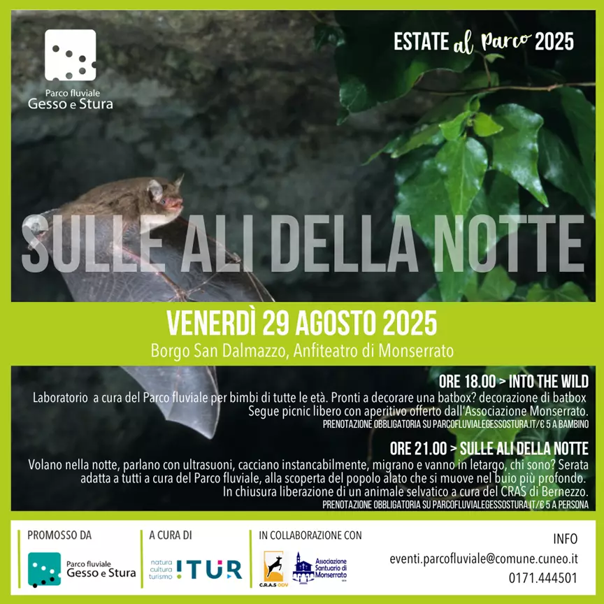 Sulle ali della notte